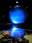 200807172239000.jpg