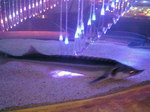 200807172236001.jpg