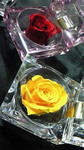 200902071814000.jpg